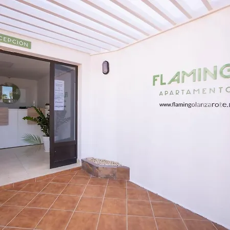 Flamingo